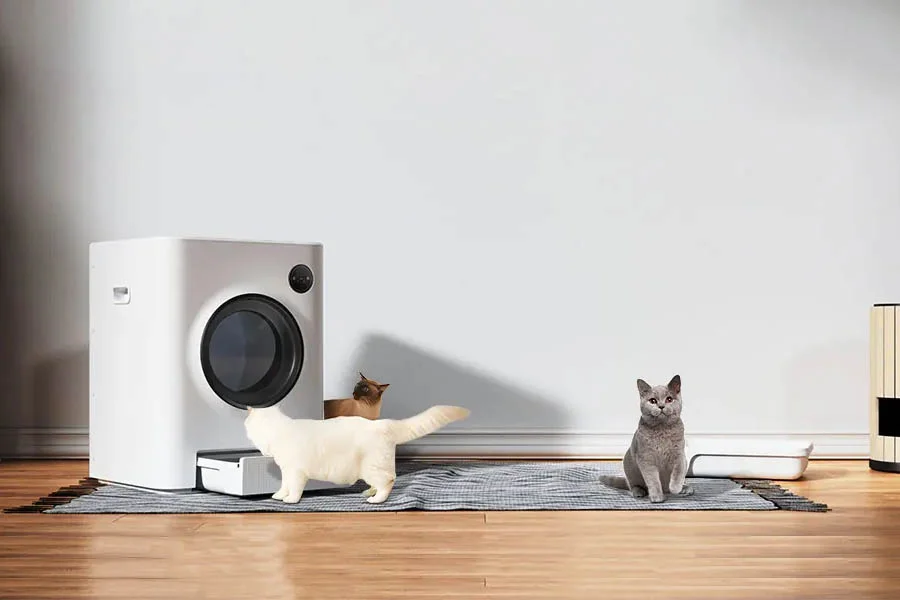 best cat litter robot